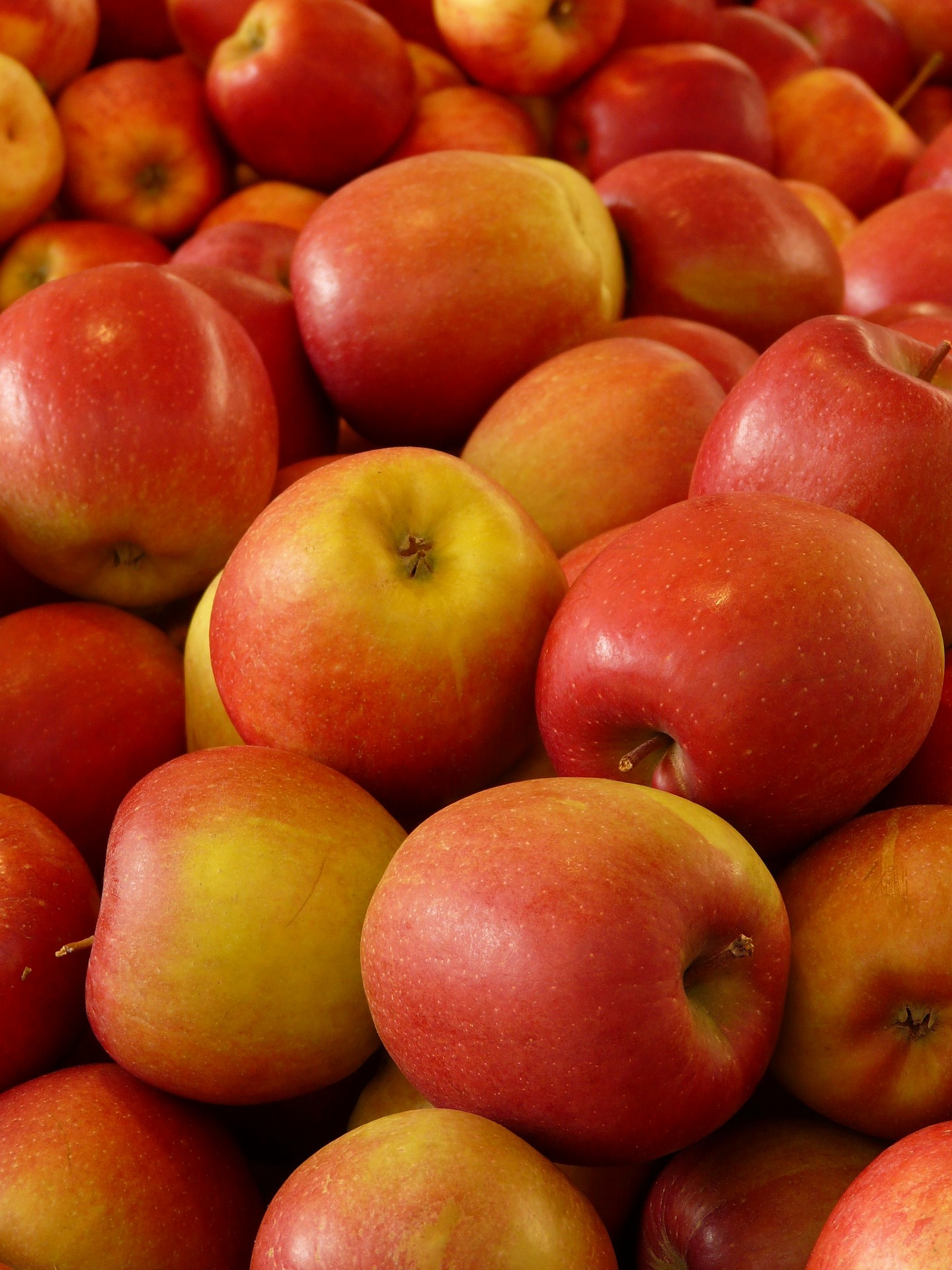 Äpfel Äpfel